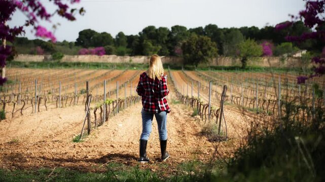 Female farmer using tablet walking through vineyard rows and monitoring grape cultivation. Concept modern agrotechnology in organic winemaking and smart farming