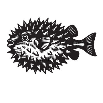 Underwater Marine Animal Silhouette Vector Set &ndash; Ocean Creatures Mandala, Sea Life SVG, Turtle Dolphin Fish Shark, Black Tribal Clipar