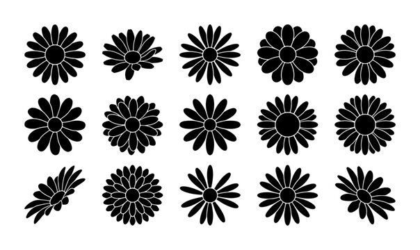 Minimalist daisy flower silhouettes, set of 15 floral vector icons, black chamomile blossom shapes, botanical garden plant elements for logo design