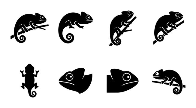 Chameleon silhouette icon set, black lizard reptile vector collection, 8 tropical animal symbols for logo design and branding