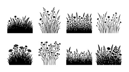 Wildflower grass silhouette collection, 8 black botanical meadow plant vector elements, floral field weeds and herbs set for landscape design © Faria