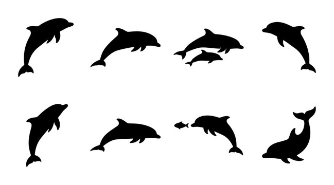 Dolphin silhouette collection, black sea animal vector set, jumping marine mammals and aquatic wildlife icons for ocean conservation and logo design