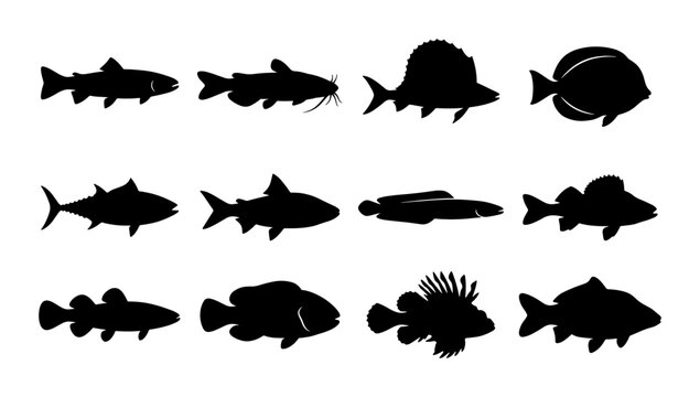 Black fish silhouettes collection, set of 12 aquatic animal icons, marine life and freshwater fish vector shapes for fishing logos and nature design