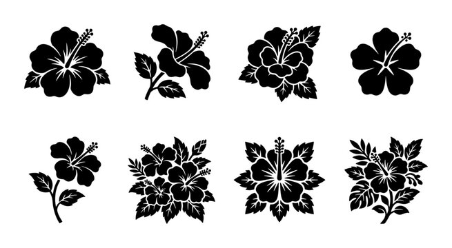 Hibiscus flower black silhouette icons, tropical floral vector set of 8 elements, exotic botanical blossom illustrations for summer design and logos