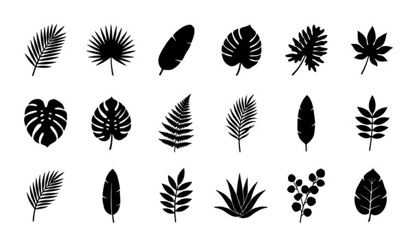 Tropical leaf silhouette collection, 18 black palm and monstera plant icons, exotic botanical vector elements for summer design