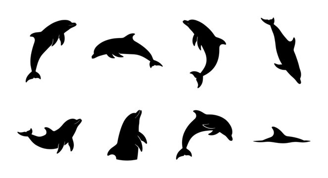 Dolphin silhouette collection, set of 8 black marine animal vector icons, jumping sea mammal shapes for aquatic nature design and ocean branding