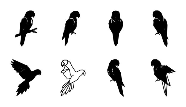 Parrot silhouette vector set, black tropical bird icons in various poses, 8 exotic macaw and cockatoo silhouettes for wildlife design and logos