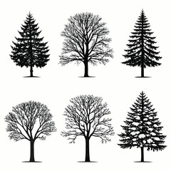 Obraz premium tree silhouettes in black and white vector set