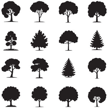 Set of black tree silhouettes collection including various deciduous and evergreen forest trees with detailed branches and foliage for nature design projects