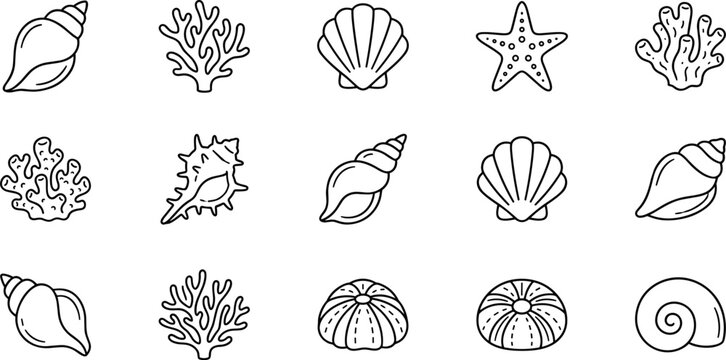 seashell coral and starfish outline icon collection on transparent background
