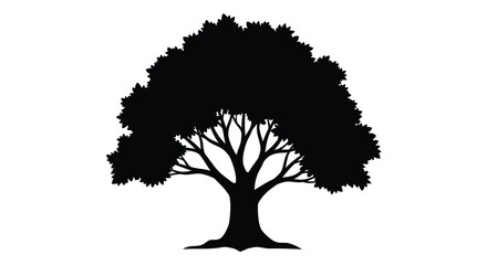 Fototapeta premium tree silhouette with detailed branches and leaves on white background high quality professional modern elegant stylish clean crisp vibrant colorful