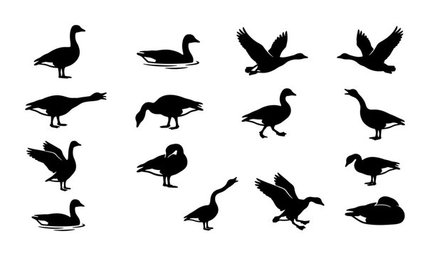 Goose silhouette collection, 15 black wild bird vector icons, flying and standing geese set, waterfowl and gander silhouettes for hunting and nature design