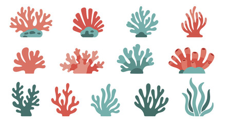 Collection of Diverse Coral Reef Plant Illustrations. © Enggal