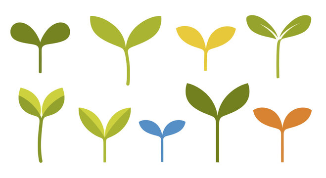 Collection of Diverse Seedling Sprouts in Various Colors and Stages.