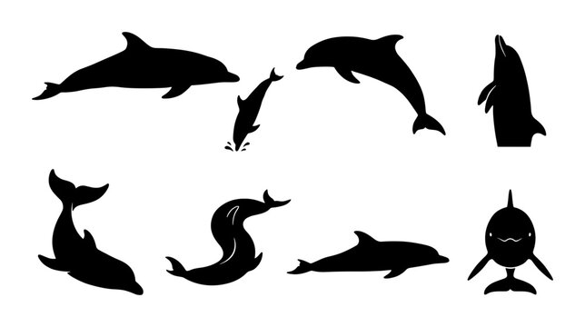Dolphin silhouette vector collection, 8 black marine mammal icons, jumping and swimming dolphins set, aquatic animal shapes for logo design