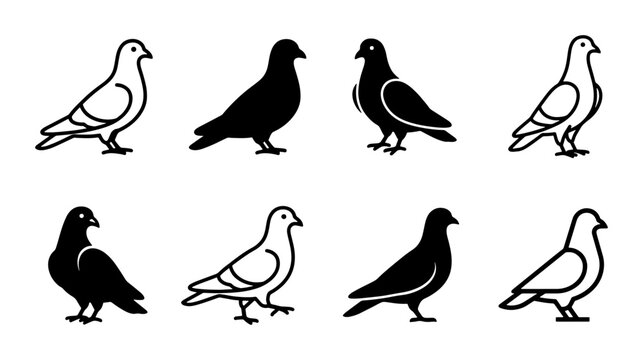 Minimalist pigeon bird icons set, black and white dove silhouette vector collection, 8 urban bird symbols for logo design and web graphics