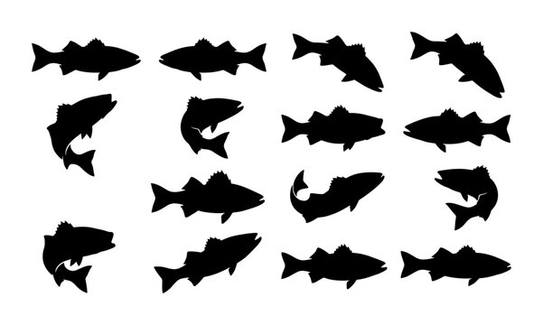 Fish silhouette collection, 14 black salmon and trout vector shapes, jumping and swimming fish icons for fishing logos and seafood branding