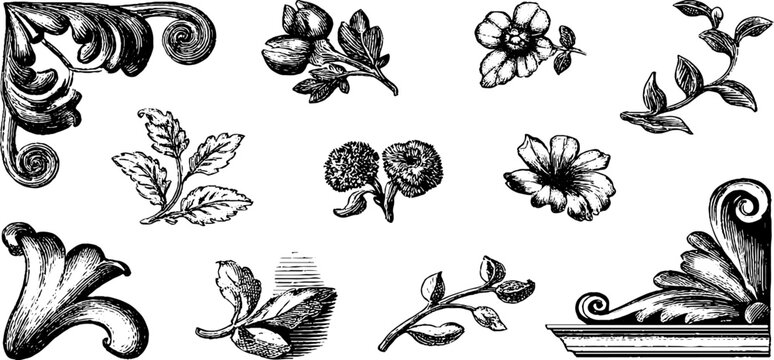 Vintage engraved corner ornament elements sheet with floral flourishes leaves and decorative motifs for borders frames invitations and design accents
