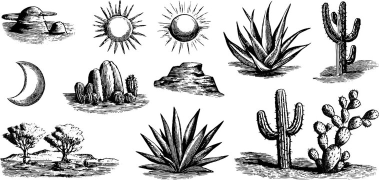Vintage engraved desert clipart sheet with suns cacti agave moon and canyon rocks for retro background and design elements