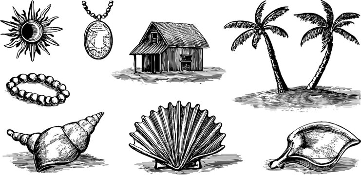 Vintage engraved surf shack and seashell collection background with palm trees and coastal signs for beach poster and coastal design