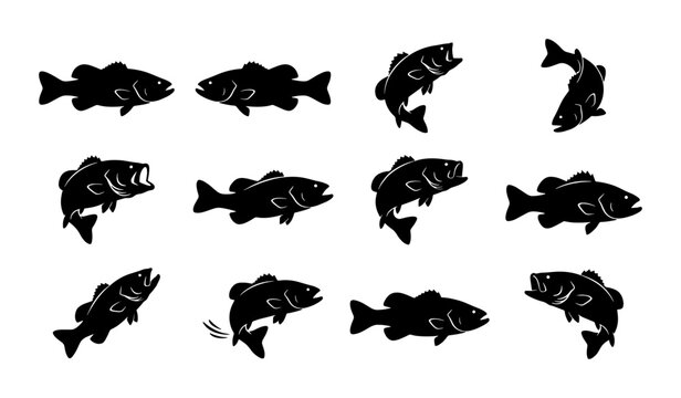 Bass fish silhouette collection, 12 black fishing icons in vector format, largemouth bass jumping and swimming poses for angling logos and outdoor sports