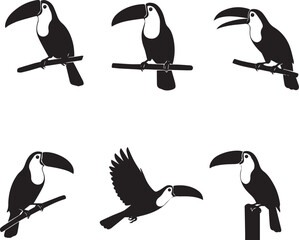 Obraz premium Toucan Silhouette Set – Tropical Bird Icons Collection, Exotic Toucan Perching and Flying Black Vector Illustration