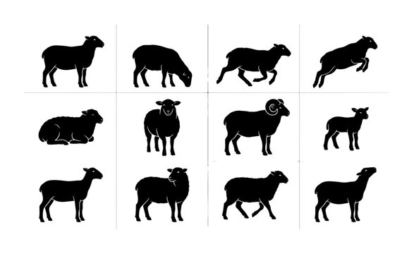 Black sheep silhouettes collection, set of 12 farm animal vector icons, minimalist livestock ram and lamb shapes for agricultural branding and logos