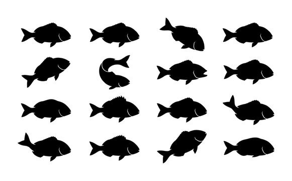 Black fish silhouette collection, 16 sea bream and carp icons, aquatic animal vector set for fishing logos and seafood restaurant branding