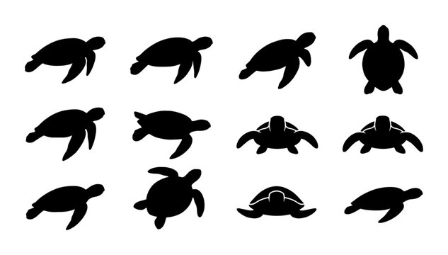 Sea turtle silhouette collection, 12 black marine animal icons, aquatic reptile vector set, minimalist ocean wildlife shapes for conservation logos