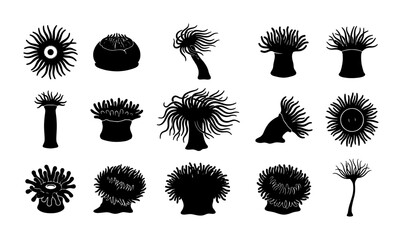 Sea anemone silhouette collection, 15 black marine life icons, aquatic polyp and coral reef organism vector set for ocean biology design © Adiba