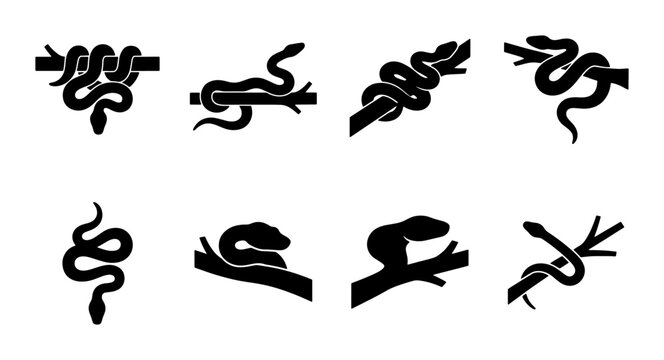 Black snake silhouette icons set, wild serpent crawling on tree branch vector collection, 8 reptile animal symbols for nature and wildlife design