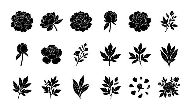 Black peony silhouette vector icons, botanical floral set of 18 flower and leaf elements, elegant garden blossom silhouettes for wedding branding