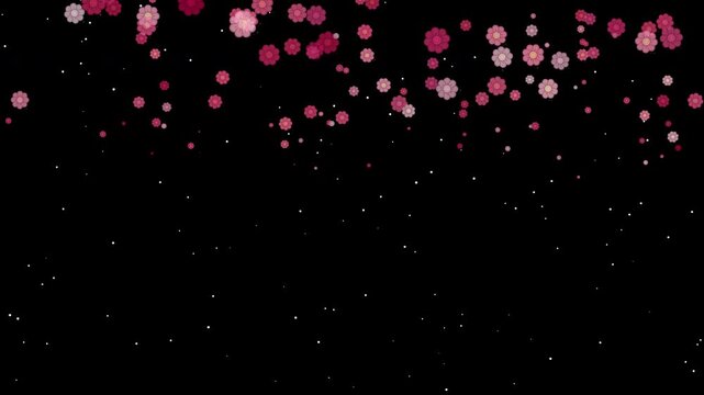 Falling pink flowers animated background with copy space loop