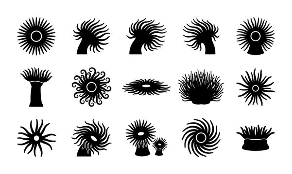 Sea anemone silhouette icons set, black marine life vector elements, 15 underwater coral reef organism shapes for aquatic design