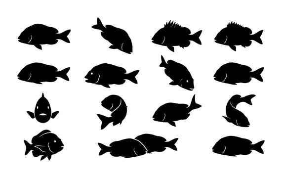 Black fish silhouette collection, set of 15 sea bream and porgy icons, marine life vector graphics for seafood restaurant menus and fishing logos