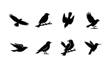 Fototapeta premium Black bird silhouettes set, 8 flying and perched avian vector icons, minimalist wild bird shapes for nature logos and graphic design