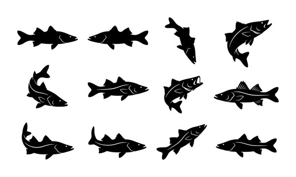 Snook fish silhouette vector set, 12 black fishing icons of common snook in various swimming poses, saltwater game fish graphics for angling logos
