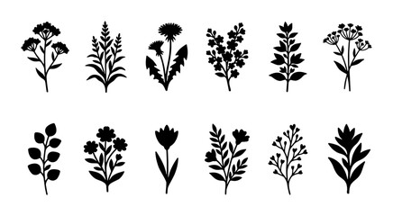 Black floral silhouette collection, 12 botanical wildflower vector icons, minimalist garden plant elements, hand drawn meadow flower set for wedding decor © Selim