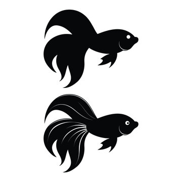 Two betta fish silhouettes high-quality professional detailed