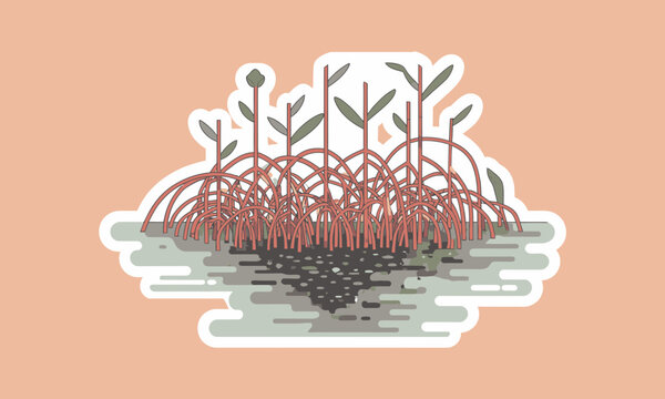 Flat vector illustration of mangrove trees with stilt roots in water