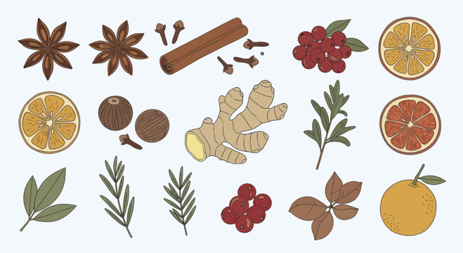 Aromatic Spices and Citrus Fruits for Culinary Delights.