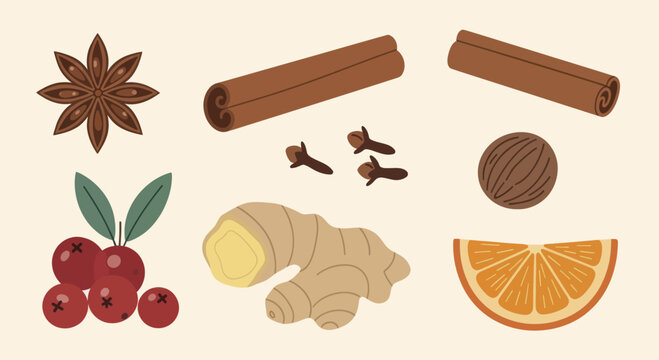 Aromatic Spices and Fruits for Culinary Delights and Festive Beverages.
