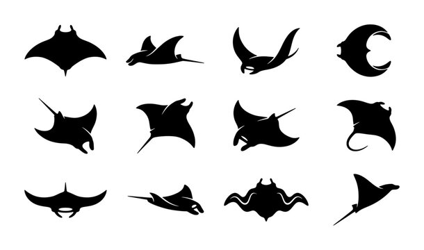 Manta ray silhouette collection, 12 minimalist stingray icons, black sea creature vector set, aquatic animal logo elements for ocean conservation branding