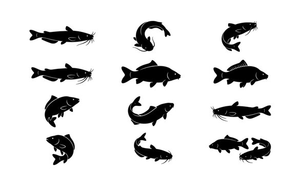 Catfish and carp silhouette collection, black fish vector icons set, freshwater fishing graphics for logo design and angling equipment branding