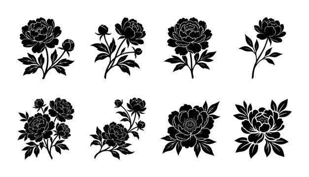 Black peony flower silhouettes, set of 8 botanical vector illustrations. Elegant floral blossom icons with leaves. Minimalist garden plant stencils.
