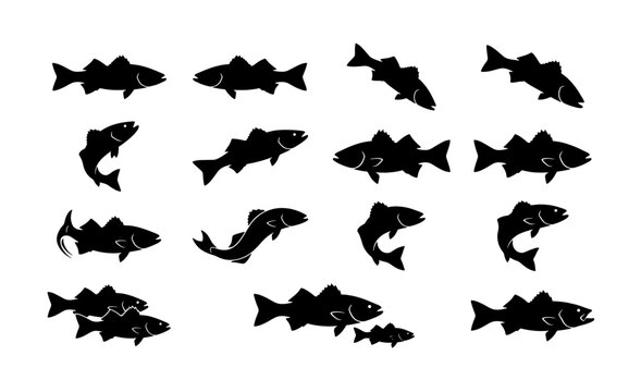 Walleye fish silhouette collection, 15 black fish icons in various swimming poses, zander and pike perch vector set for fishing tournament logos