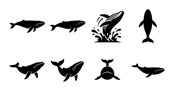 Minimalist whale silhouette icon set, humpback whale breach and swimming poses, 8 black marine animal vector graphics for ocean conservation logos