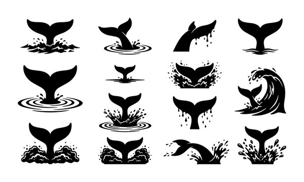 Black whale tail silhouette icons, set of 12 marine animal fluke vector graphics, ocean wave and water splash illustrations for nautical logo design