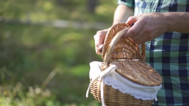 Man puts a mushroom into wicker basket in forest, outdoor activity, nature exploration, foraging scene, pick mushrooms and berries, outdoor leisure activity