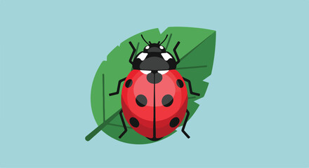 A ladybug on a green leaf against a light blue background © Ria